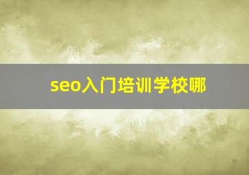 seo入门培训学校哪