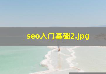 seo入门基础
