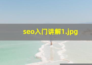 seo入门讲解