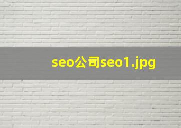 seo公司seo