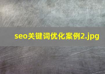 seo关键词优化案例