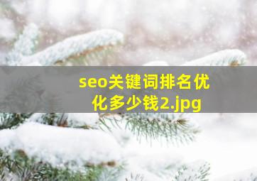 seo关键词排名优化多少钱