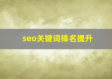 seo关键词排名提升