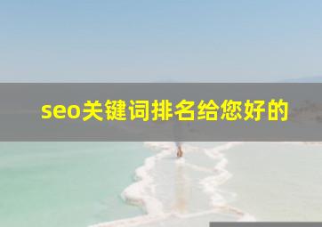seo关键词排名给您好的