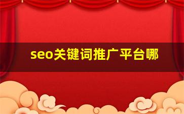 seo关键词推广平台哪