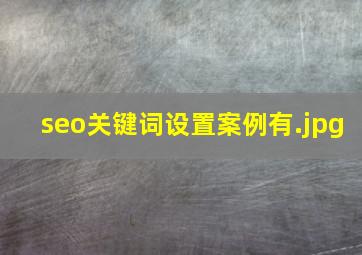 seo关键词设置案例有