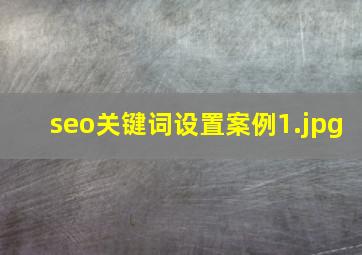 seo关键词设置案例
