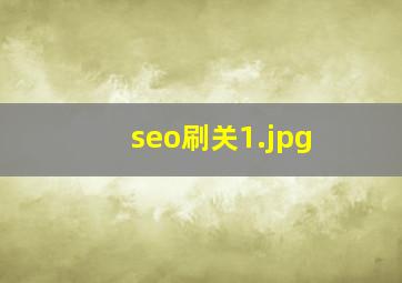 seo刷关