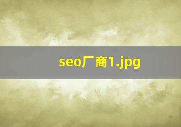 seo厂商