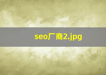 seo厂商