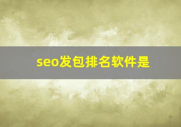 seo发包排名软件是