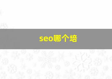 seo哪个培