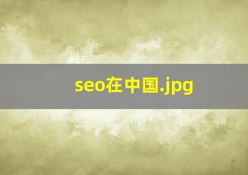 seo在中国