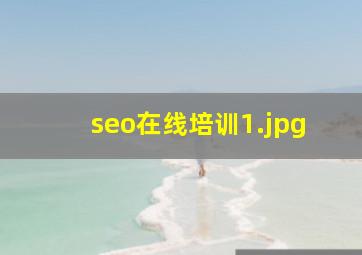 seo在线培训