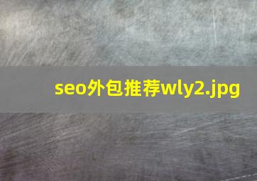 seo外包推荐wly