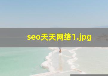 seo天天网络