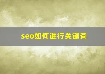 seo如何进行关键词