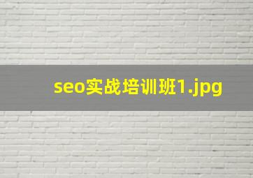 seo实战培训班