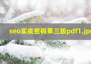 seo实战密码第三版pdf