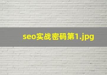 seo实战密码第