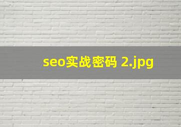 seo实战密码 