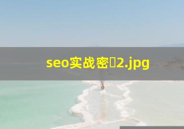 seo实战密�