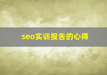 seo实训报告的心得