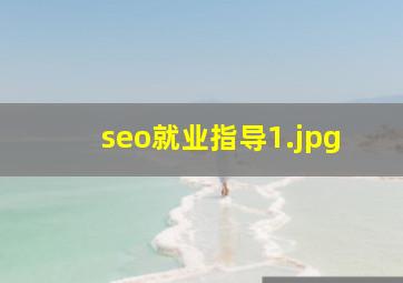 seo就业指导