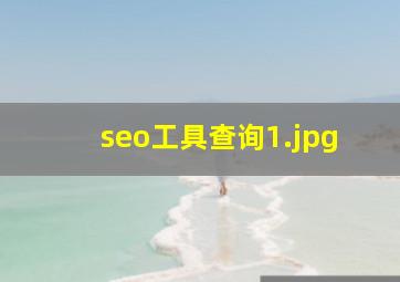 seo工具查询