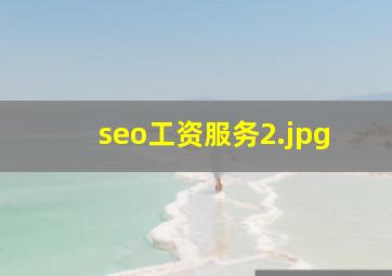 seo工资服务