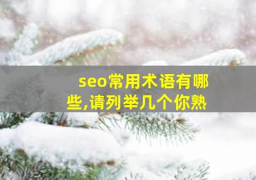 seo常用术语有哪些,请列举几个你熟