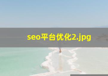 seo平台优化