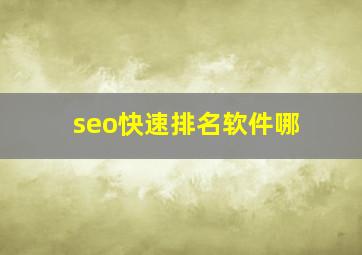 seo快速排名软件哪