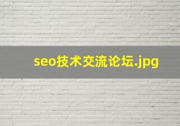 seo技术交流论坛