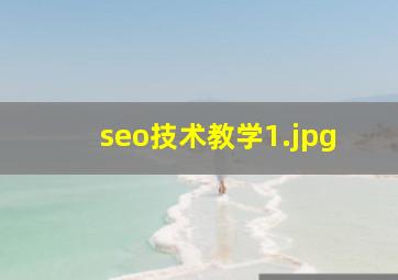 seo技术教学