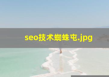 seo技术蜘蛛屯