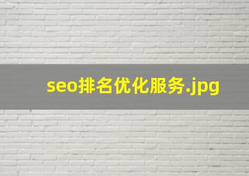 seo排名优化服务