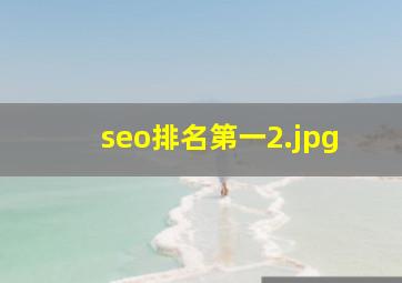 seo排名第一