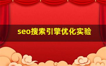 seo搜索引擎优化实验