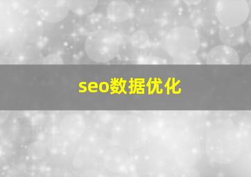 seo数据优化