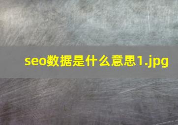 seo数据是什么意思