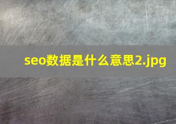 seo数据是什么意思