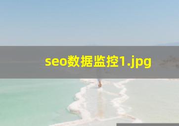 seo数据监控