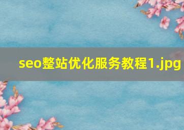seo整站优化服务教程