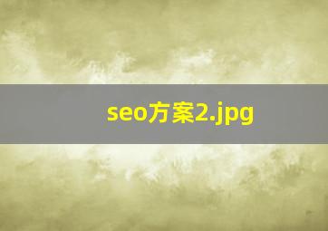 seo方案
