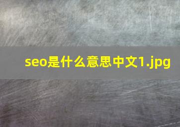 seo是什么意思中文