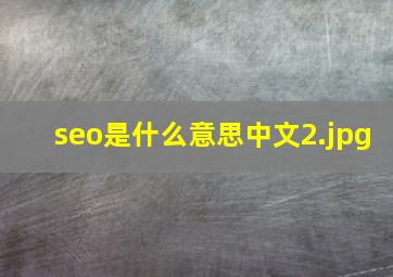 seo是什么意思中文