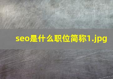 seo是什么职位简称