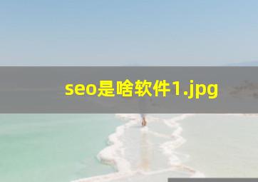 seo是啥软件