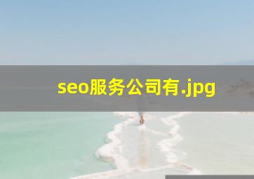 seo服务公司有